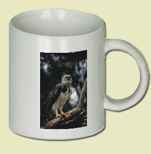 Harpy Eagle Coffee Mug