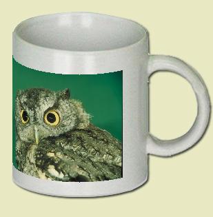 Screech Owl Coffee Mug