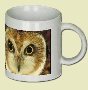 Short-Eared Owl Coffee Mug