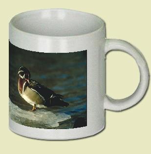 Wood Duck Coffee Mug