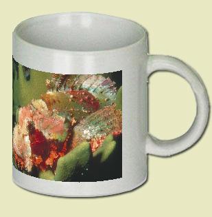 Scorpion Fish Coffee Mug