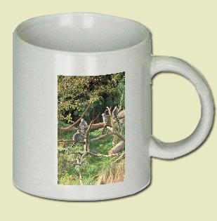 Ring-tailed Lemur Coffee Mug