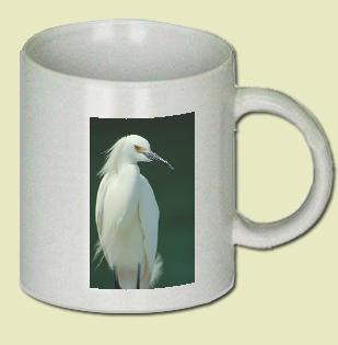 Snowy Egret Coffee Mug
