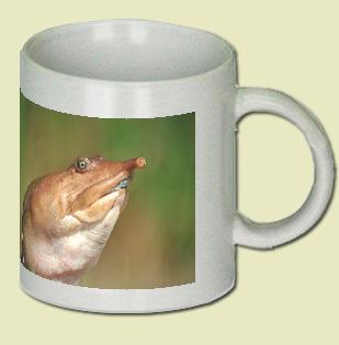 Soft-shelled Turtle Coffee Mug