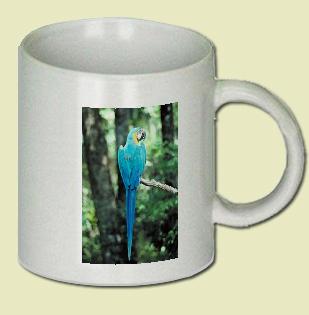 Blue and yellow macaw Coffee Mug