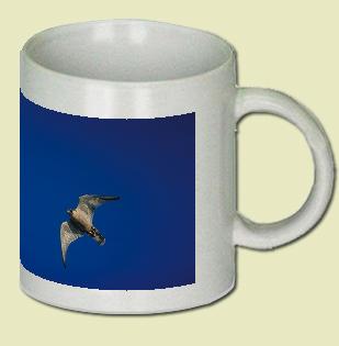 Peregrine Falcon Coffee Mug
