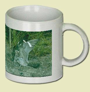 Common Nighthawk Coffee Mug