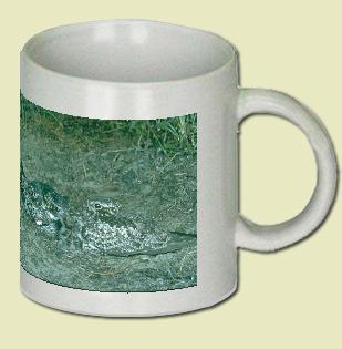 Common Nighthawk Coffee Mug