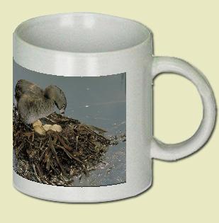 Pied-billed Grebe Coffee Mug