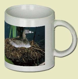 Pied-billed Grebe Coffee Mug