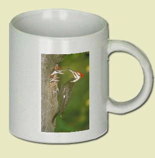Pileated Woodpecker Coffee Mug