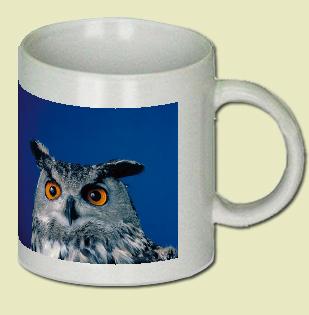 Eagle Owl Coffee Mug