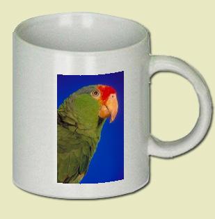 Green Cheeked Amazon Parrot Coffee Mug