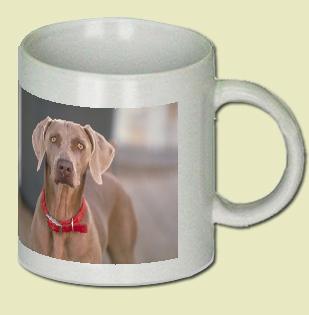Weimaraner Coffee Mug