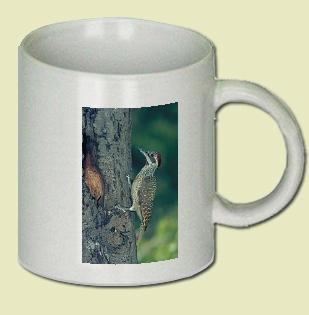 Bennett's Woodpecker Coffee Mug