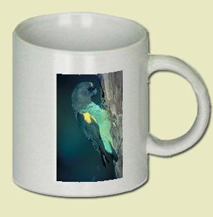Meyer's Parrot Coffee Mug