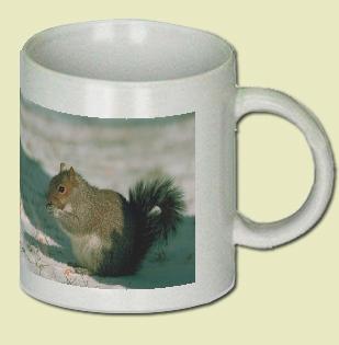 Eastern Gray Squirrel Coffee Mug