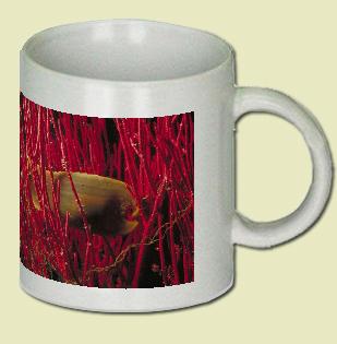 Shark Coffee Mug