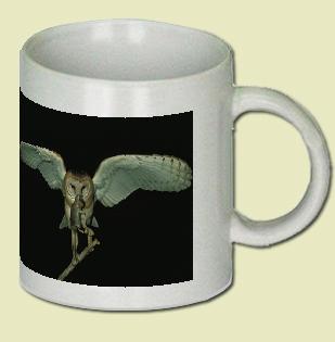 Barn Owl Coffee Mug