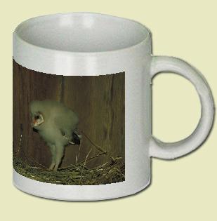 Barn Owl Coffee Mug