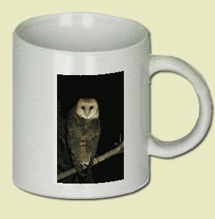 Barn Owl Coffee Mug
