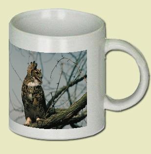 Great Horned Owl Coffee Mug