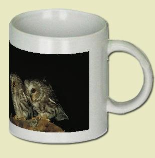 Saw-Whet Owl Coffee Mug