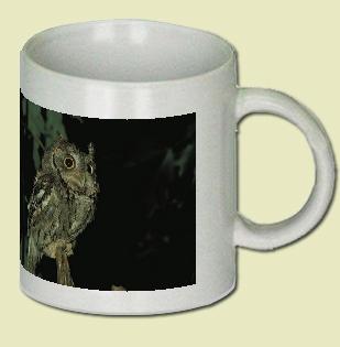 Screech Owl Coffee Mug