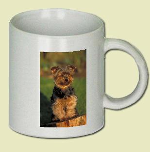 Yorkshire terrier Coffee Mug