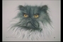 Blue long-hair cat picture