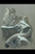 Snow Leopard picture