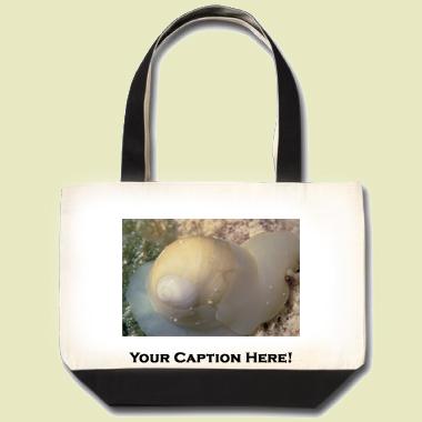 Milk moon snail Tote Bag