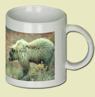 Grizzly Bear Coffee Mug