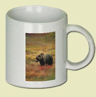 Grizzly Bear Coffee Mug