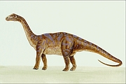 Cetiosaurus T-Shirt