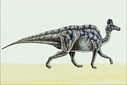 Hypacrosaurus T-Shirt