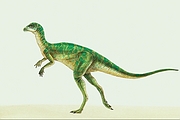 Hypsilophodon T-Shirt