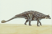 Pinacosaurus T-Shirt