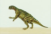 Psittacosaurus T-Shirt