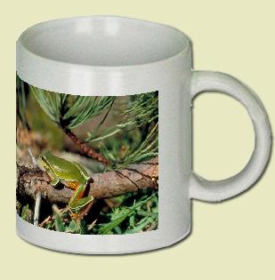Pine Barrens tree frog Coffee Mug