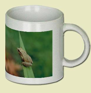 Spring peeper tree frog Coffee Mug