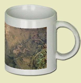 Wood frog Coffee Mug