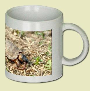 Wood turtle Coffee Mug