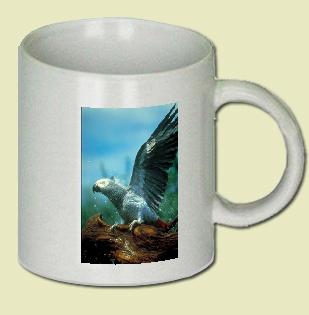 African gray parrot Coffee Mug