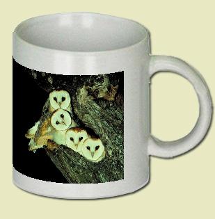 Barn Owl Coffee Mug