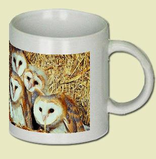 Barn Owl Coffee Mug