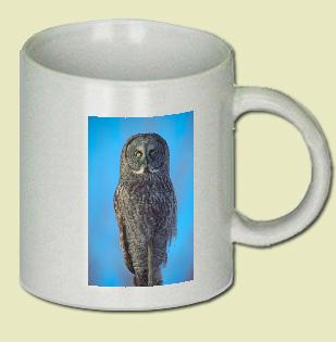Great gray owl Coffee Mug