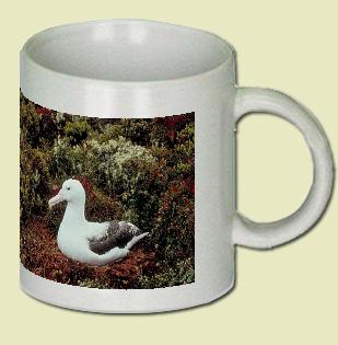Royal Albatross Coffee Mug