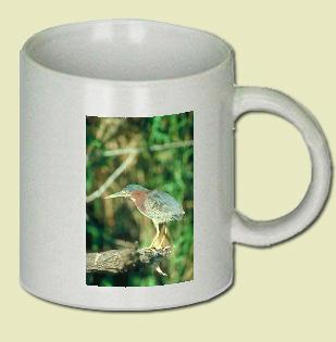 Green Heron Coffee Mug