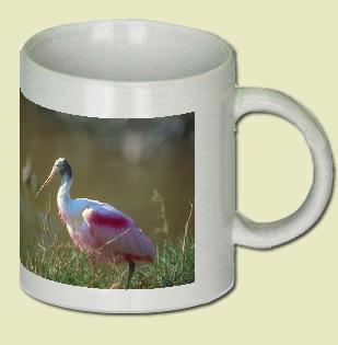 Roseate Spoonbill Coffee Mug